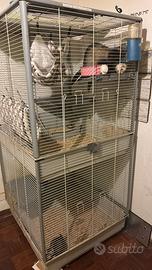 Gabbia ferplast furet tower