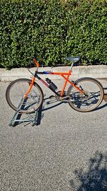 Bicicletta MTB Vintage BIANCHI RAGNO META MK2