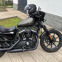 Harley 883 iron