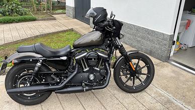 Harley 883 iron