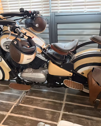 Kawasaki vn 800 classic custom