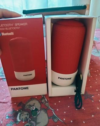 Cassa Bluetooth Pantone 