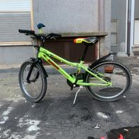 Bici lombardo numero 20