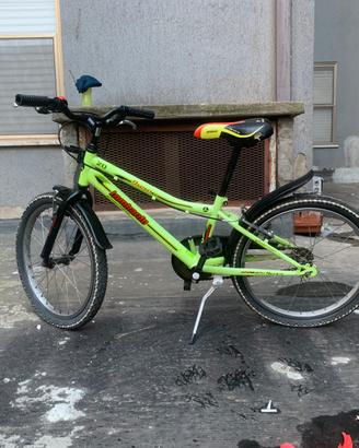 Bici lombardo numero 20