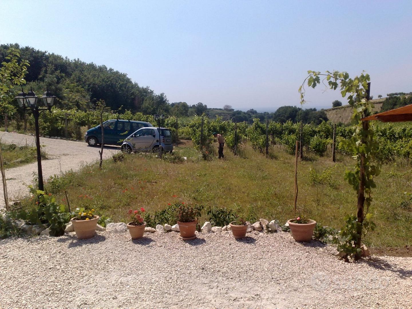 Terreno a Grottaferrata - Altro