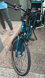 Ecitybike PEGASUS SOLERO