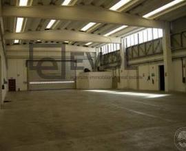 Capannone - Gorizia