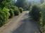 Immagine 10