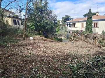 Terreno a Valentano (Viterbo)