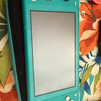 Nintendo switch lite pic0fly