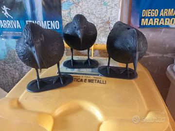 3 corvi anti piccioni