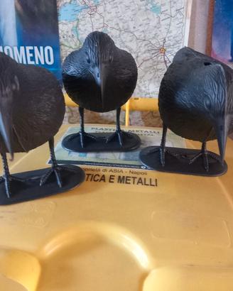 3 corvi anti piccioni