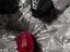 Immagine 6