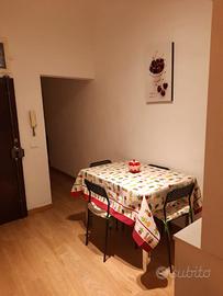 Trilocale ristrutturato