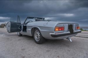 alfa romeo spider coda tronca