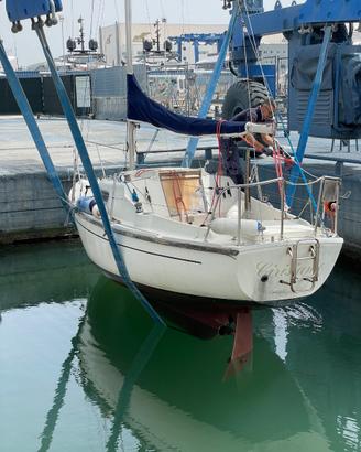 Barca a vela 7metri entrob Yanmar diesel zero ore