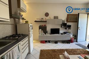 BILOCALE A BORSEA, PIANO TERRA CON SCOPERTO ESCLUS