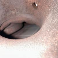 Fap per audi a3 8v 2.0 tdi