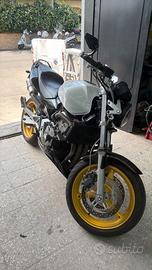 Solo per amatori Honda Hornet 600cc 4 cilindri