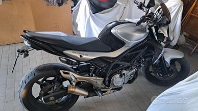 Suzuki Gladius