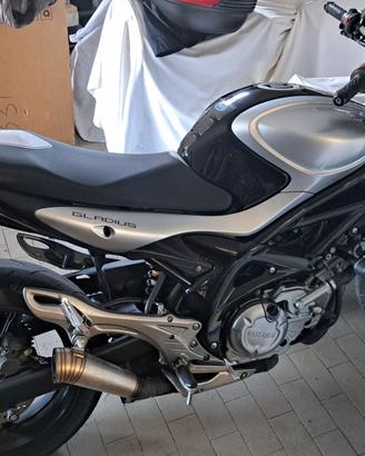 Suzuki Gladius