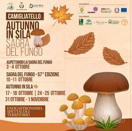 WEEKEND a Camigliatello silano