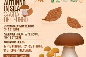 WEEKEND a Camigliatello silano