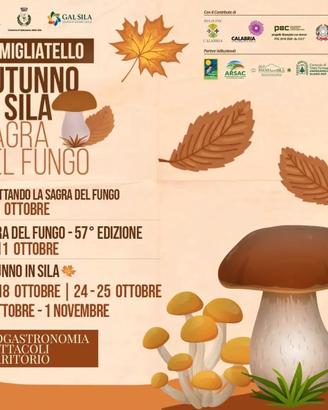WEEKEND a Camigliatello silano