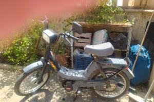 Benelli Mix
Colore nero
Richiesta € 1.000