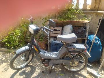 Benelli Mix
Colore nero
Richiesta € 1.000