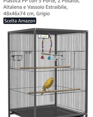 voliera uccelli 