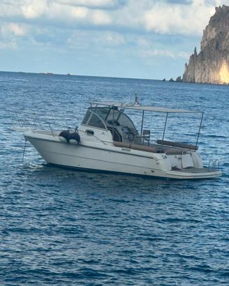 Barca zaniboni blutime f300