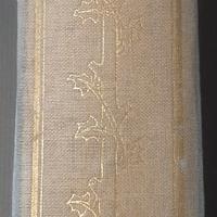 LIBRO GABRIELE D'ANNUNZIO