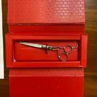 Forbici professionali parrucchiere Leader Cam