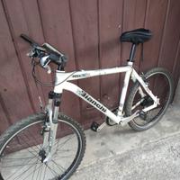 Mountain bike uomo Bianchi