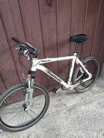 Mountain bike uomo Bianchi