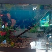 acquario 120 litri