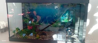 acquario 120 litri