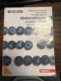 Matematica.blu. Algebra. Geometria. Statistica.