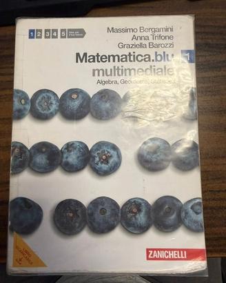 Matematica.blu. Algebra. Geometria. Statistica.