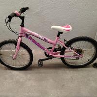 Bicicletta bambina 6 anni