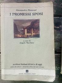 I promessi sposi