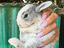 Immagine 1