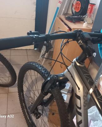 mtb 29 olimpia
