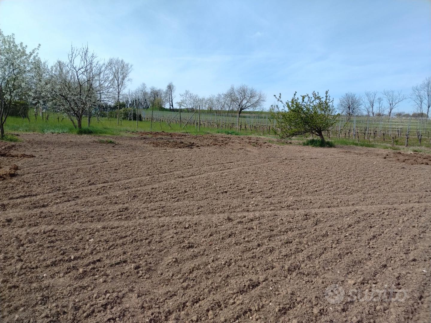 Terreno agricolo - Vista 4
