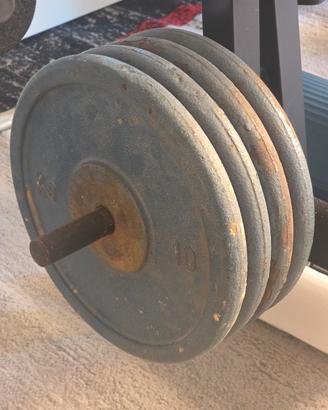 PESI PALESTRA