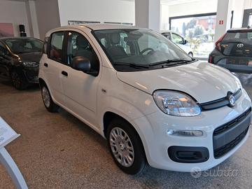 Fiat Panda 1.0 FireFly S&S Hybrid Icon