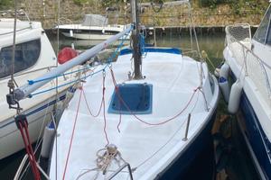 Jouet Calife 23 pronta alla boa – accessoriata