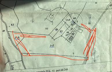 1H terreno e bosco e rustico da ristrutturare