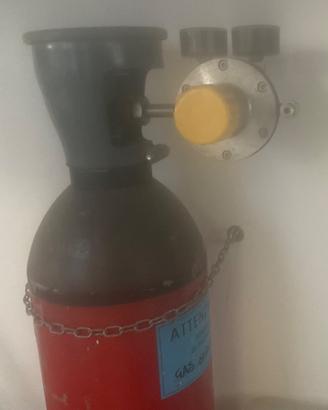 Bombola Azoto 21 Kg con Regolatore di PROPRIETÀ